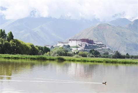 西藏领峰智慧物流园预计年底投用_拉萨要闻_拉萨市人民政府