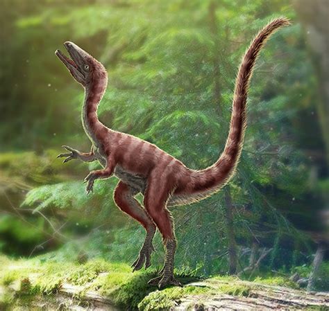 30厘米的恐龙长啥样？中国科学家发现美颌龙类新物种_凤凰网