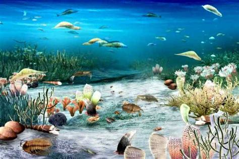 寒武纪生命大爆发与地球生态系统起源演化