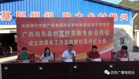 首届中国芒果产业大会在百色田东开幕，旨在打造平台、促进融合发展|南国早报网-广西主流都市新闻门户