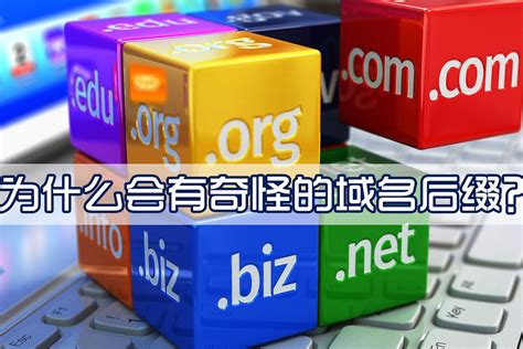 网站域名的后缀.com/cn/net/org/top的不同和区别?_云评测
