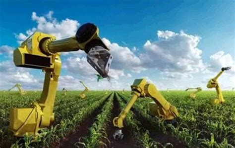 解放农民双手 农业机器人让精准农业成为现实- 农林牧渔科技_赢家财富网
