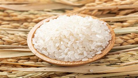 海外大米价格升高吞噬利润，中国大米1-2月进口量同比减少近五成|界面新闻