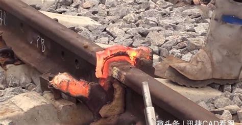 the common 的图像结果