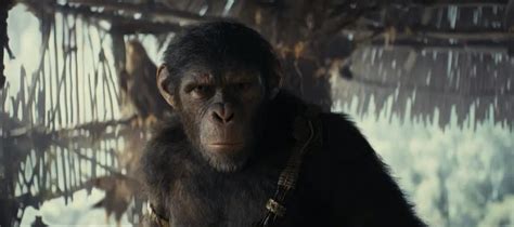 好莱坞科幻大片《猩球崛起2》，人猿斗争再升级，打斗精彩！