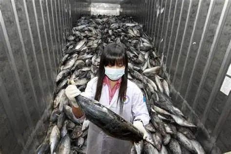 日本排放核废水，海鲜还能吃吗？中国进口海鲜十大来源披露！_凤凰网视频_凤凰网