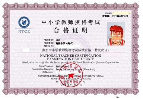 教师资格证考试报名入口_中国教师资格网