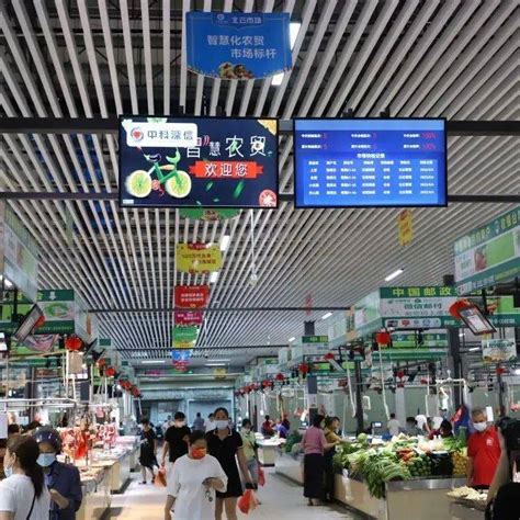 突发！菜比肉贵，多地蔬菜价格暴涨，未来价格走势是……-长江蔬菜