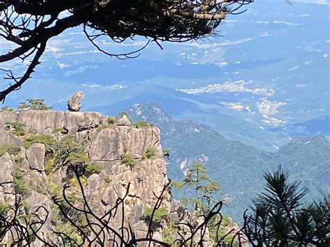 黄山奇石猴子观海图片