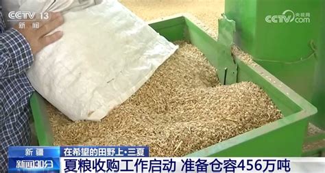 夏收已拉开序幕 全国冬小麦收获进度达4.8%_新华报业网