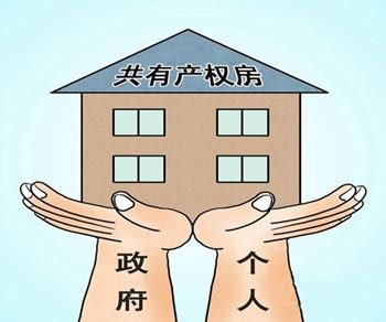 共有产权房是什么意思(附申请条件)-杭州看房网