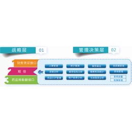 黑龙江电子标签拣货系统-奥林软件-电子标签拣货系统构成_软件开发_第一枪