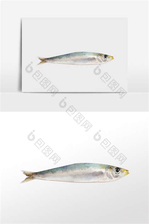 沙丁鱼是一种在鱼贩中很容易找到的鱼高清图片下载-正版图片506579559-摄图网