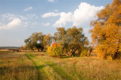 秋天的田地和树林高清图片下载-正版图片502400708-摄图网