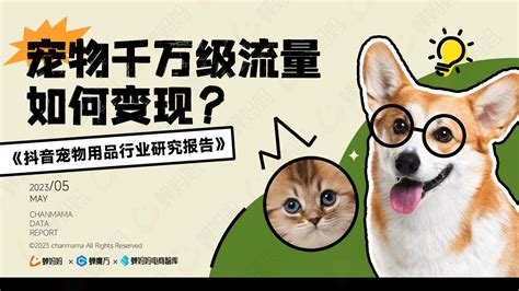 可爱宠物店宠物行业简介PPT模板-PPT牛模板网