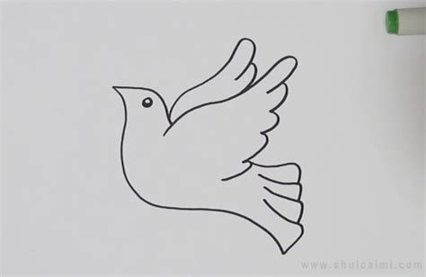 和平鸽儿童画怎么画 和平鸽简笔画步骤 - 水彩迷