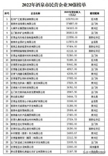 酒泉排名前十企业(酒泉市十大企业)-蓬莱百科网