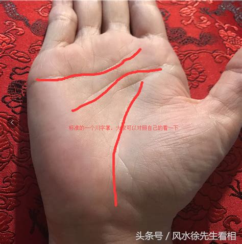双手川字纹的女人罕见吗，女人，双手“川字掌”，有何性格？