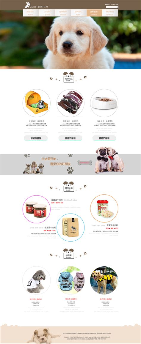 宠物商店网站源文件设计PSD素材免费下载_红动中国