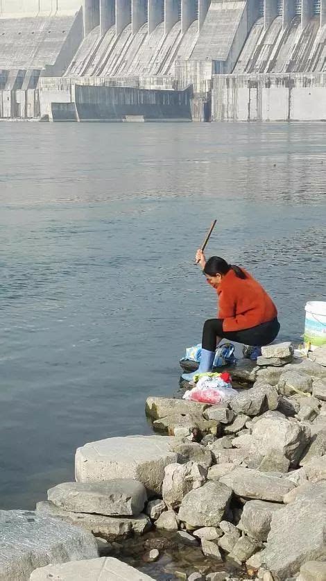 长江干旱：江河断流！如此干旱，长江的鱼儿去哪了？__财经头条