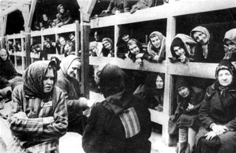 影视：这是最幸福的纳粹战俘，集中营里的生活，看后让人震毁三观