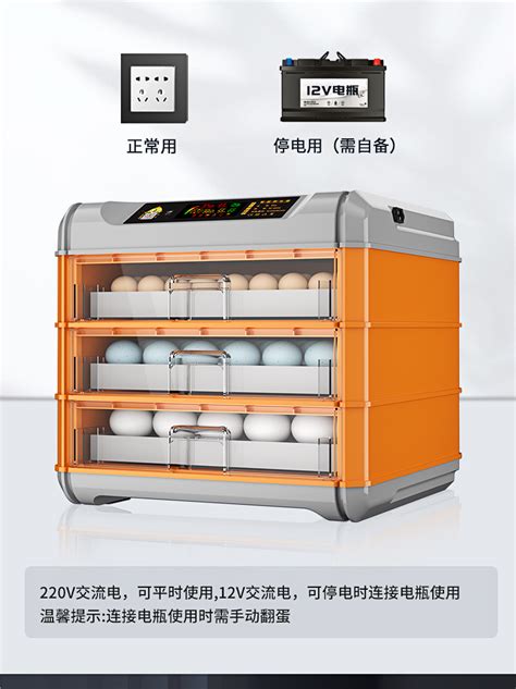 暖福宝孵化机全自动智能家用型小鸡孵化器小型孵蛋器鸡苗孵化箱-阿里巴巴