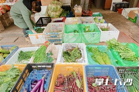 新建农贸市场如何设计运营丨盘活新建农贸市场的四种方法-杭州贝诺市场研究中心-星级规范,价值高,创意好