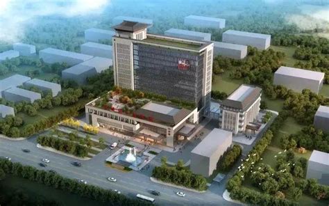 辛集宠物医院(总投资超百亿元，河北省医院项目建设进展来了) - 【爱喜匠】