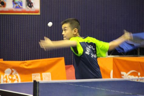 郑州市第二届公益少年儿童乒乓球推广赛收拍 - 体育培训 - 公司业务 - 大河搏冠