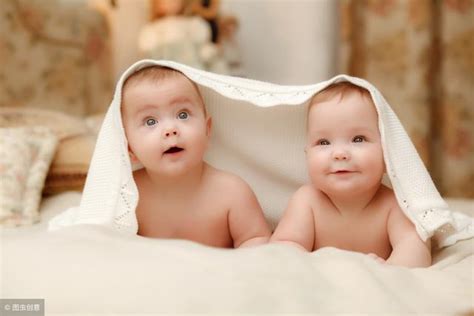 异卵双胞胎 - 快懂百科