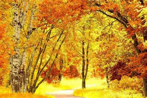 描写秋天景色的词语 - 业百科