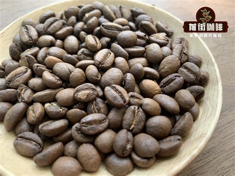 夏威夷咖啡精品咖啡豆特点 夏威夷科纳产地分级和冲煮的风味 中国咖啡网 03月15日更新
