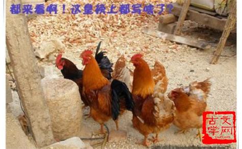 鸡犬桑麻 - 古文学网