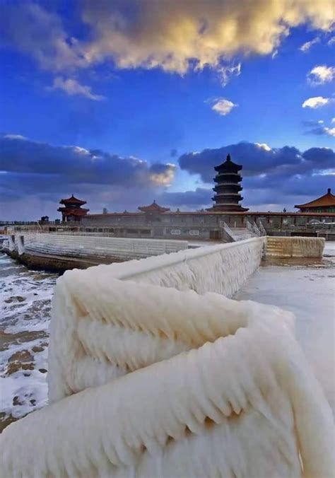 飞雪迎春到北京下雪了 新鲜雪景图已＂到货＂|飞雪|迎春-滚动读报-川北在线