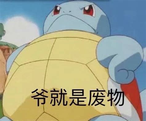 憨憨表情包杰尼龟图片