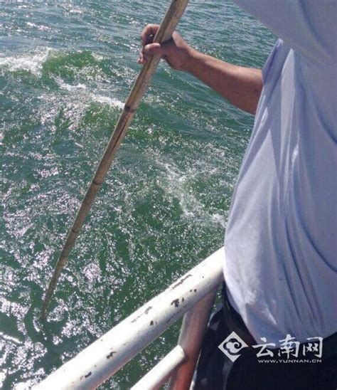 女子乘游轮拍照手机掉入洱海 欲跳海寻机被劝回