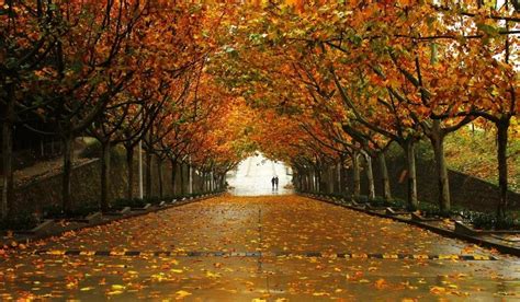 芬兰拉普兰美丽的秋景高清图片下载-正版图片507233178-摄图网