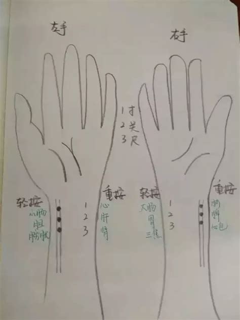 寸关尺切脉位置图图片