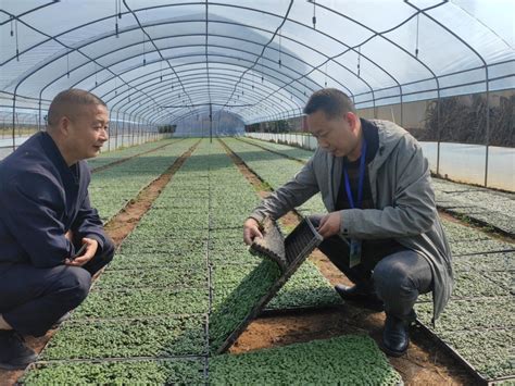 2022年汉中市农技员培训粮油产业班有序开班