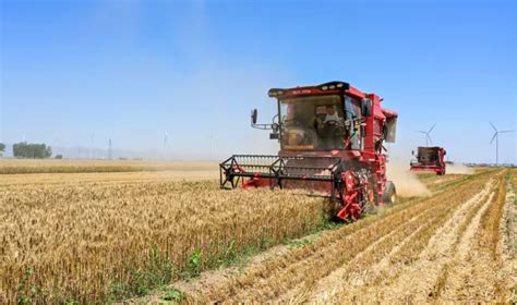 黄泛区“三夏”麦收进展顺利_河南周口经济开发区