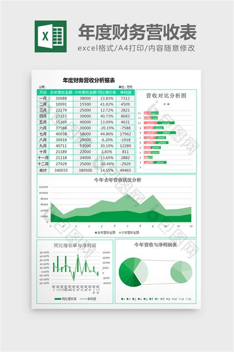 年度财务报表模板免费下载-年度财务报表Excel模板下载-华军软件园