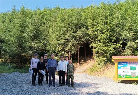 我所专家赴广西国有高峰林场落实国家储备林典型林分经营模式示范工作-中国林业科学研究院资源信息研究所