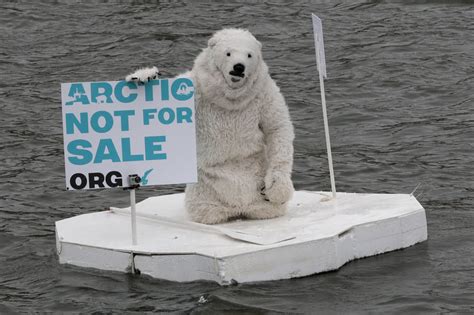 俄国环保人士扮北极熊抗议北极开发项目_公益_环球网
