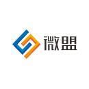 上海微盟企业发展有限公司 - 九一人才网