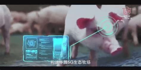 饲养人类模拟器安卓版下载-饲养人类模拟器游戏手机版下载v202112072-叶子猪游戏网