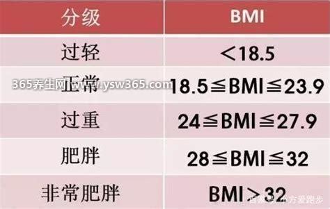 bmi计算公式正常范围-bmi指数计算器-bmi指数男女标准