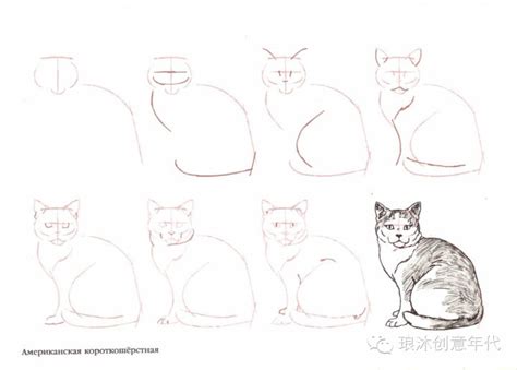 猫狗的简笔画图片教程 简单的猫和狗的画法 猫狗怎么画[ 图片/9P ] - 才艺君