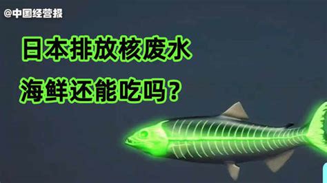 日本排放核废水，海鲜还能吃吗？中国进口海鲜十大来源披露！_第1眼视频-梨视频官网-Pear Video