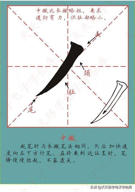 幼儿汉字书写笔划范本——基础笔画+一到十汉字书写笔划 - 爱贝亲子网