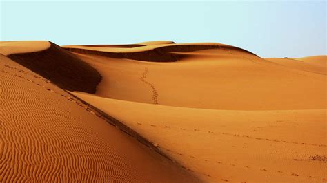 沙漠沙丘图片-沙漠风景图素材-高清图片-摄影照片-寻图免费打包下载